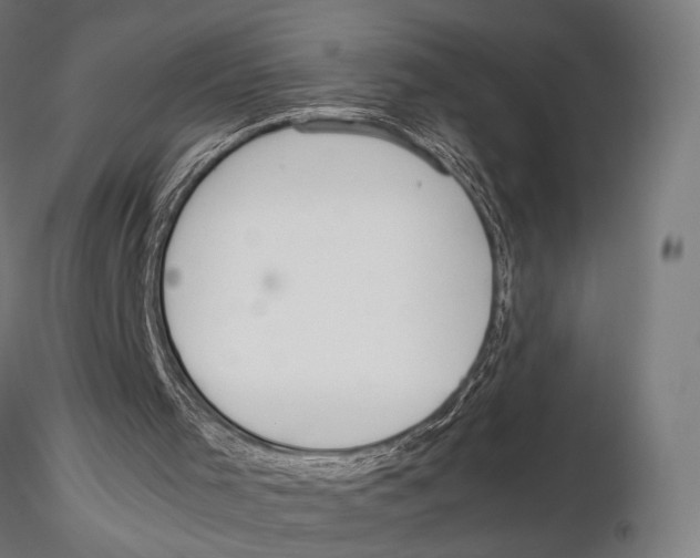 X0000115580001200912081036