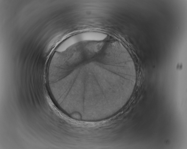 X0000115580002200912081036