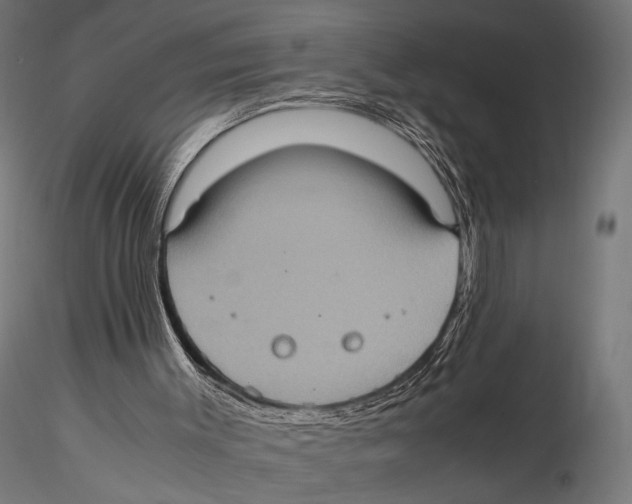 X0000115580003200912081036