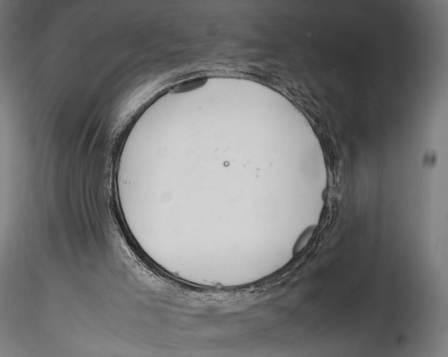 X0000115580005200912081036