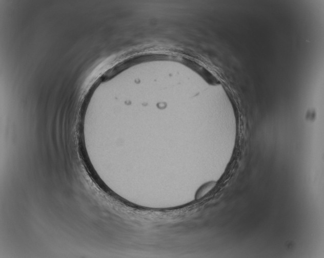 X0000115580007200912081036