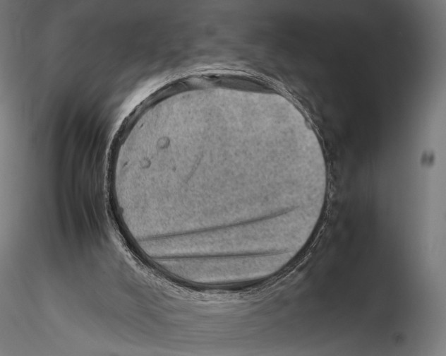 X0000115580008200912081036