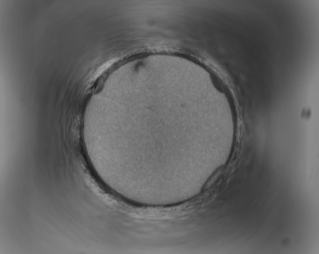 X0000115580009200912081036