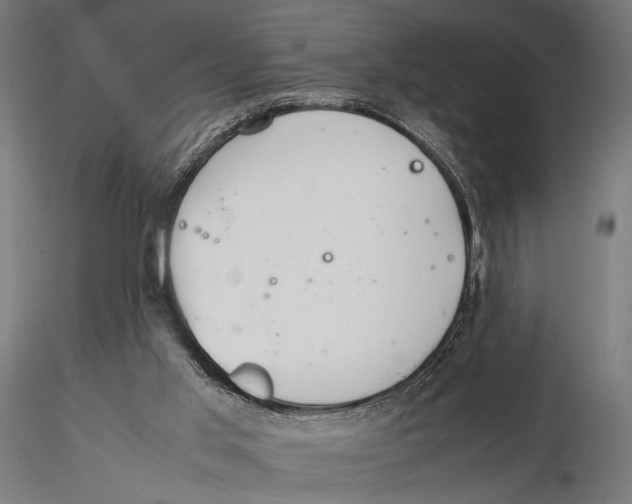 X0000115580013200912081036