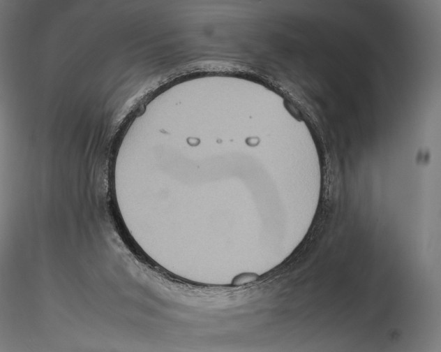 X0000115580015200912081036