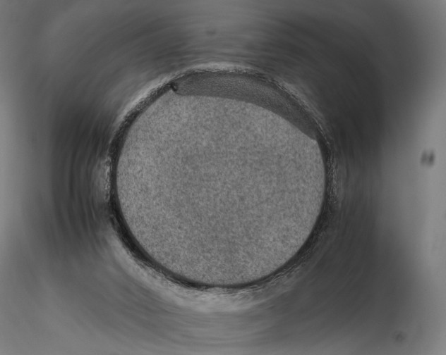 X0000115580016200912081036