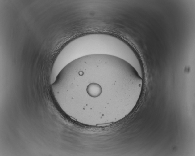 X0000115580017200912081036