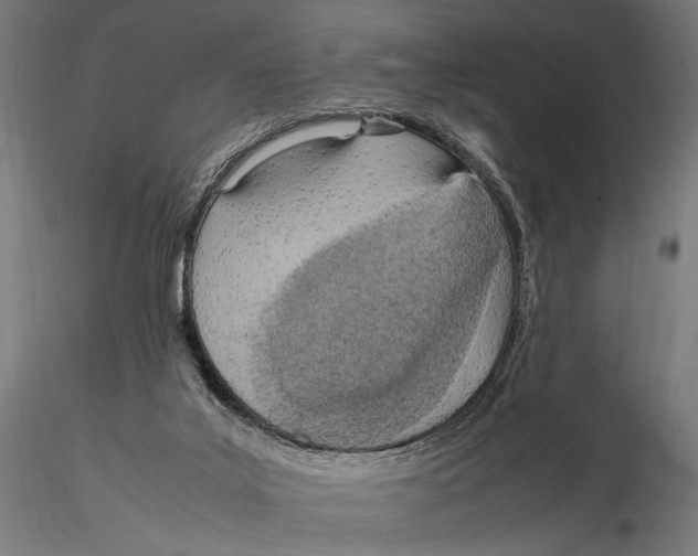 X0000115580019200912081036