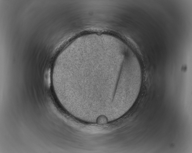 X0000115580020200912081036