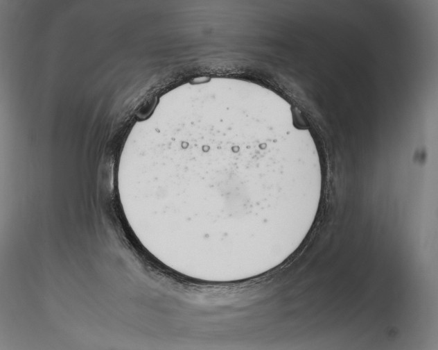 X0000115580021200912081036