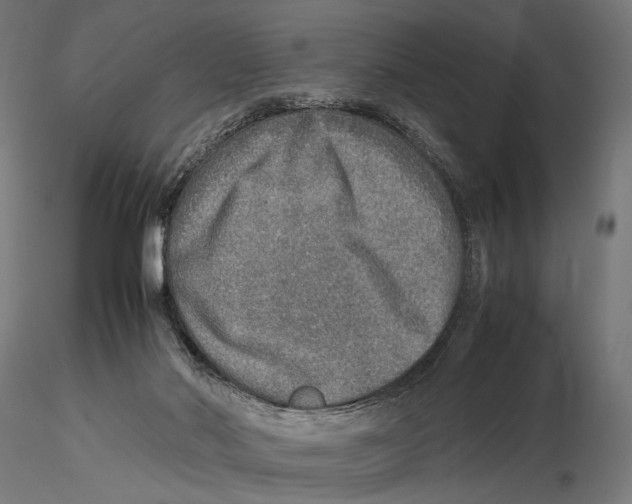 X0000115580022200912081036