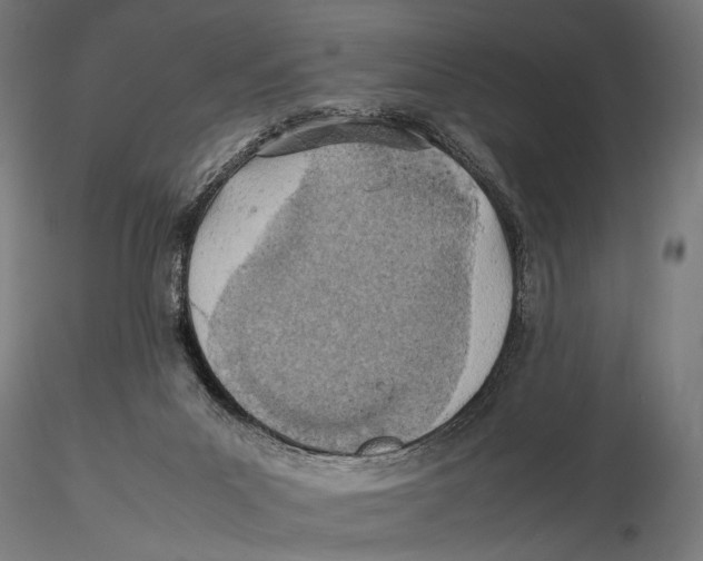 X0000115580023200912081036