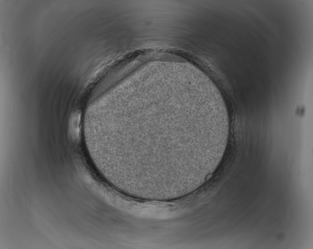 X0000115580024200912081036