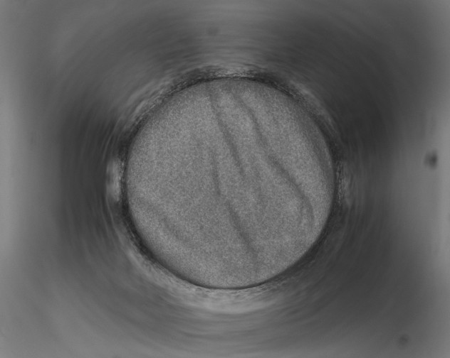 X0000115580026200912081036