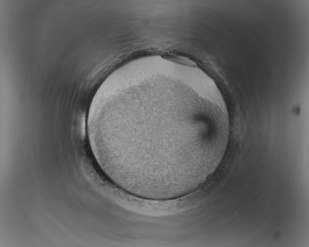 X0000115580027200912081036