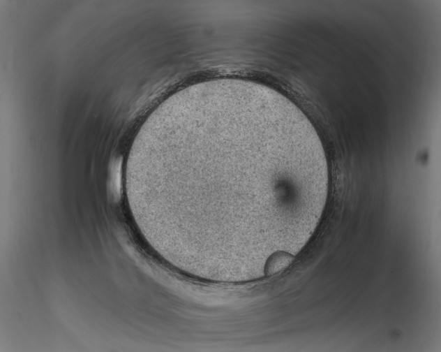 X0000115580028200912081036