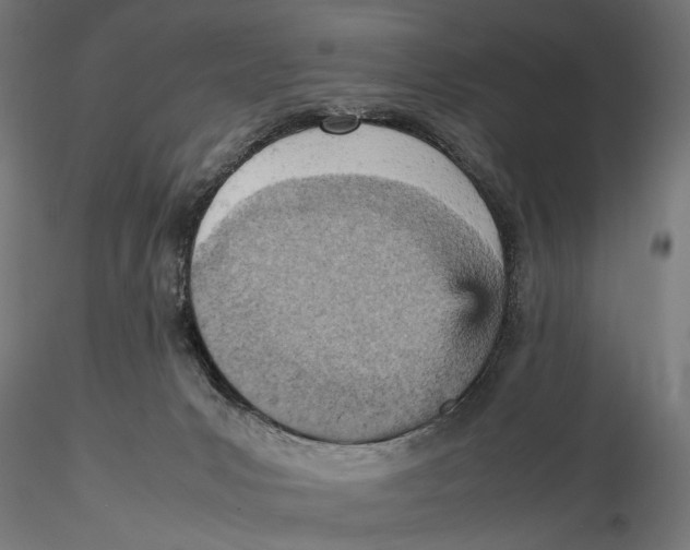 X0000115580031200912081036