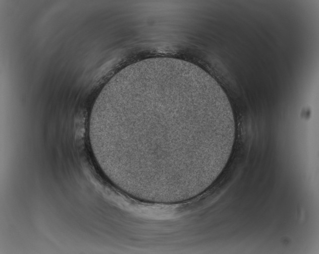 X0000115580032200912081036