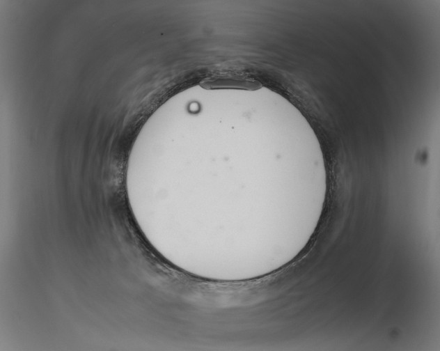 X0000115580033200912081036