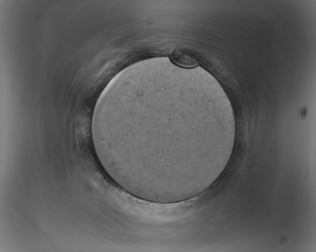 X0000115580035200912081036