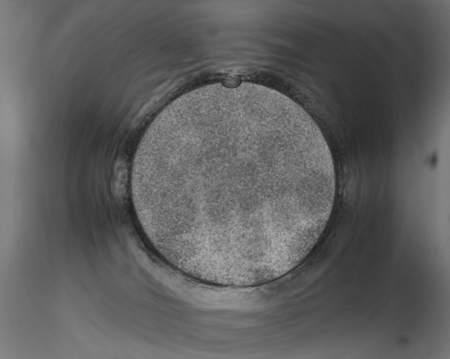 X0000115580036200912081036