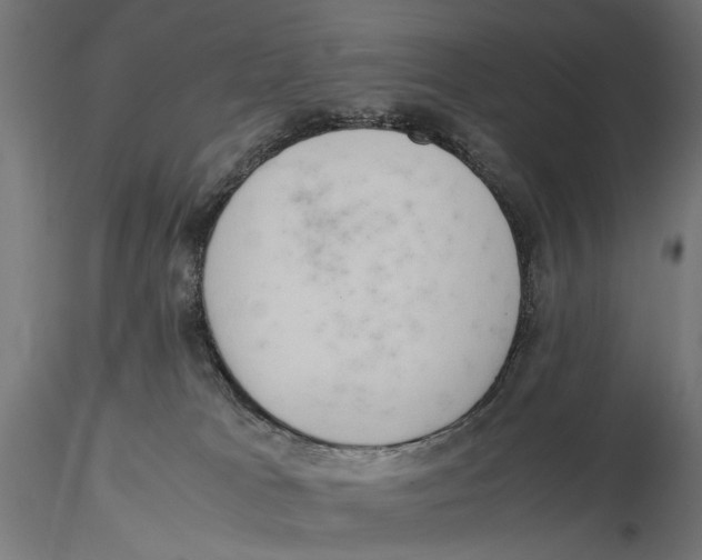 X0000115580037200912081036