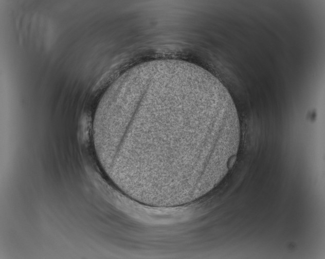 X0000115580038200912081036