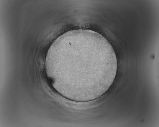 X0000115580039200912081036