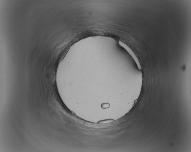 X0000115580043200912081036