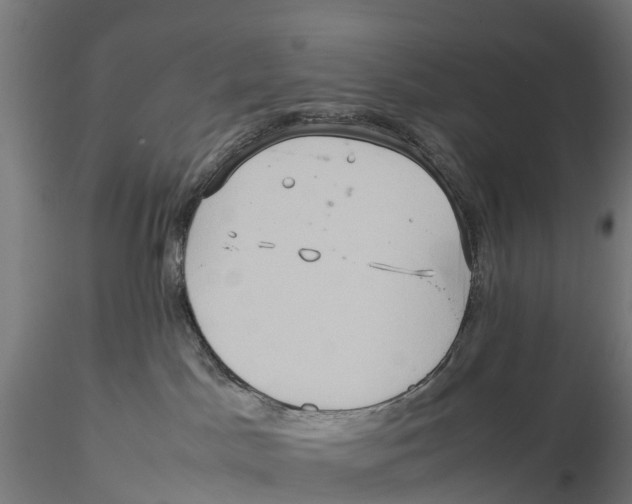 X0000115580045200912081036