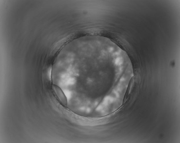 X0000115580047200912081036