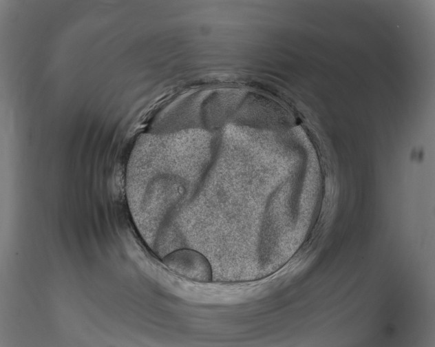 X0000115580048200912081036