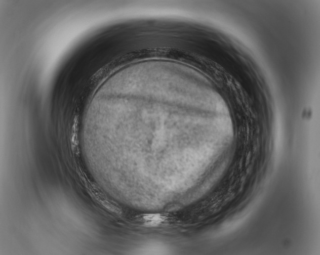 X0000115580050200912081035