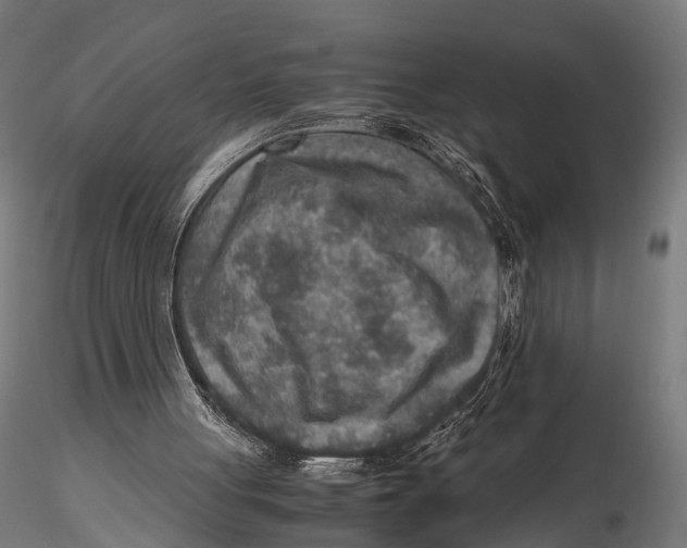 X0000115580051200912081035