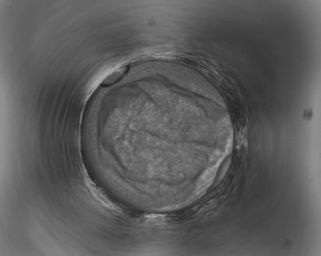 X0000115580052200912081035