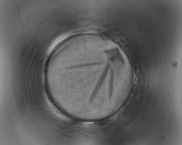 X0000115580054200912081035