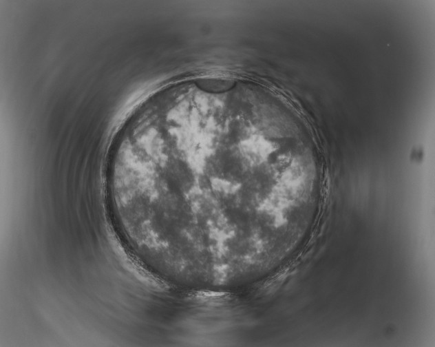 X0000115580055200912081035