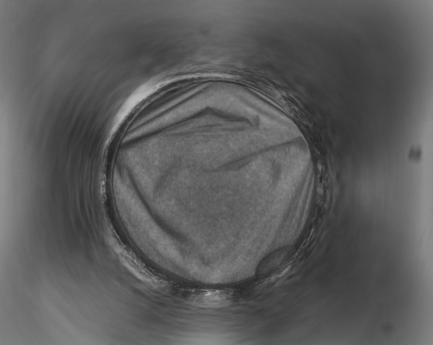 X0000115580056200912081035