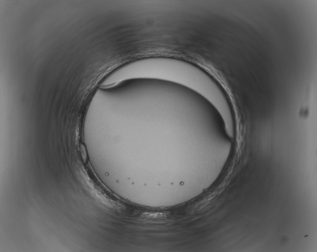 X0000115580057200912081035