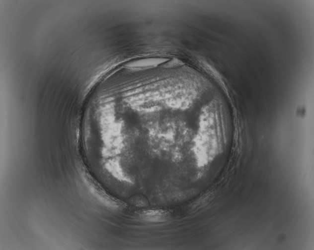 X0000115580059200912081035