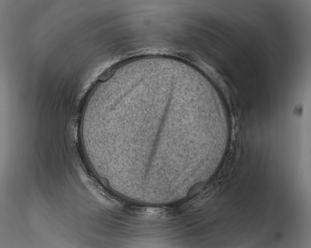 X0000115580060200912081035