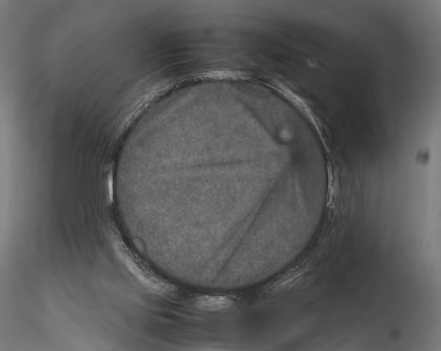 X0000115580061200912081035