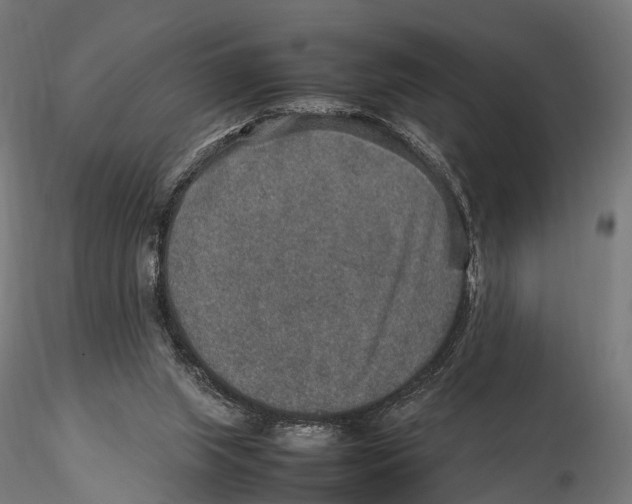 X0000115580063200912081035