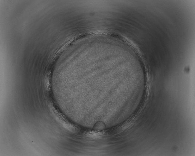 X0000115580065200912081035