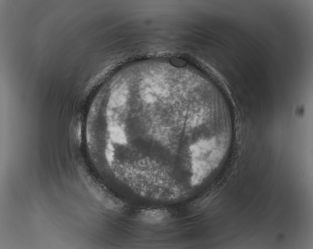 X0000115580067200912081035