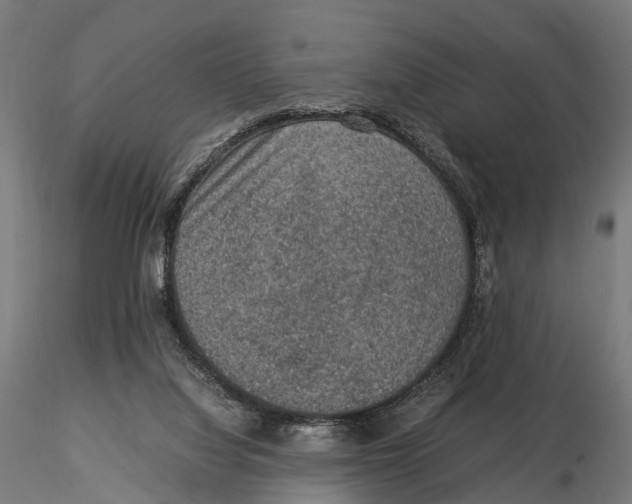 X0000115580068200912081035