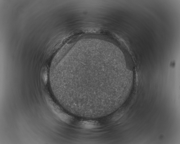 X0000115580069200912081035