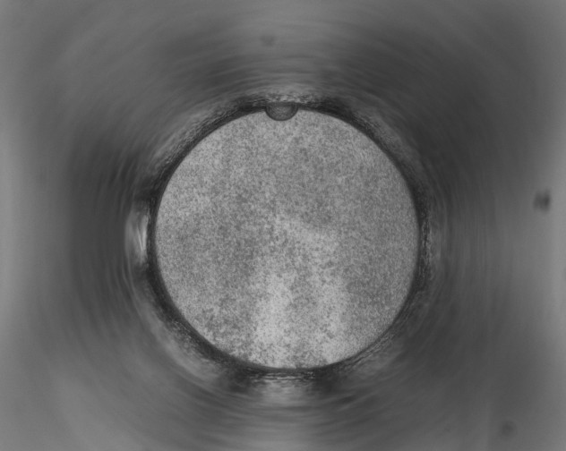 X0000115580070200912081035