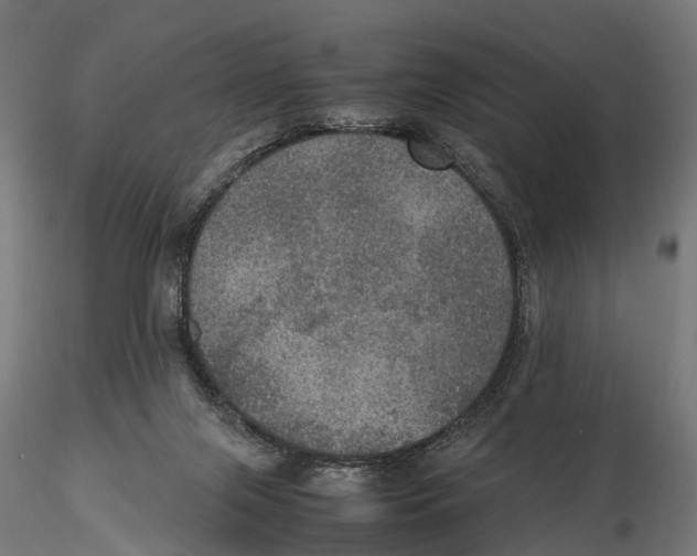 X0000115580071200912081035