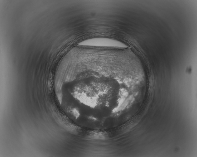 X0000115580073200912081035